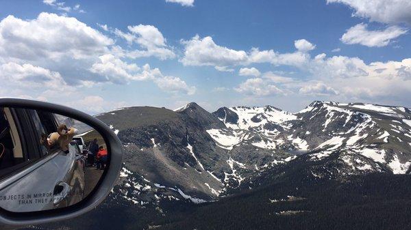 photo of Honest Writer 2.