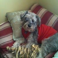 photo of Christine A.