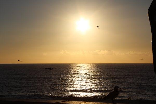 photo of Benjamin F.