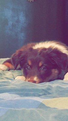 photo of Junebug J.