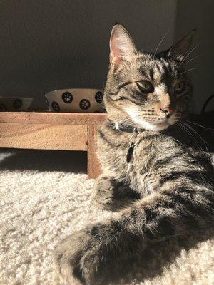 photo of Dominique V.