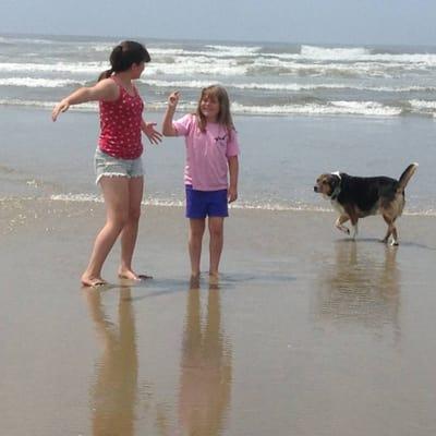 photo of Buggable O.