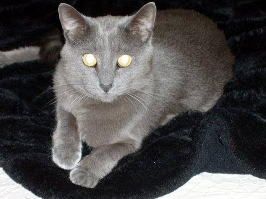 Photo of Ms. S.