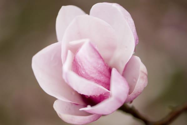 photo of Kimberly K.