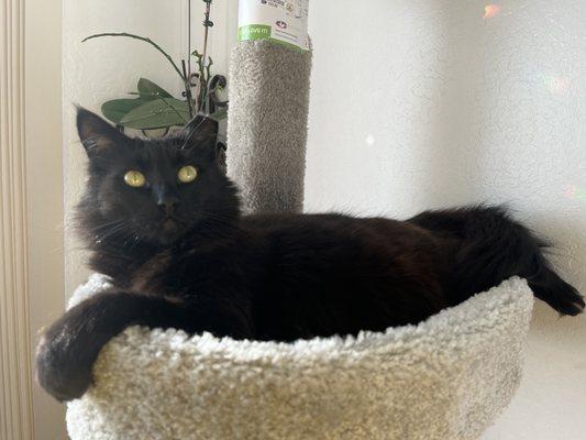 photo of Christina H.