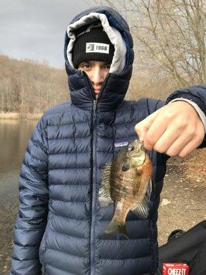 photo of Nicholas M.