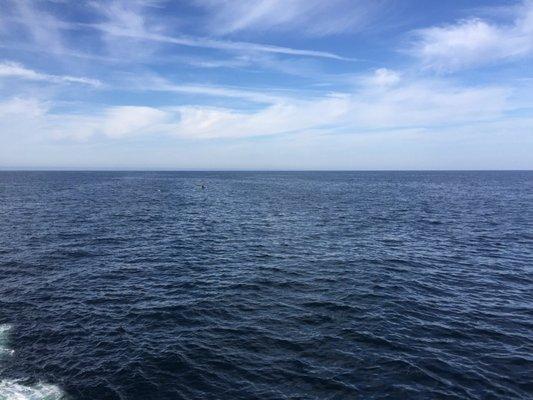 photo of Jonnatan V.