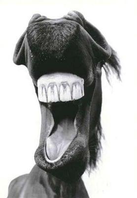 Photo of T R.