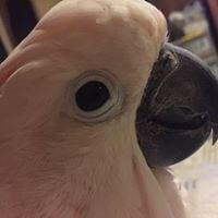 photo of Victoria P.