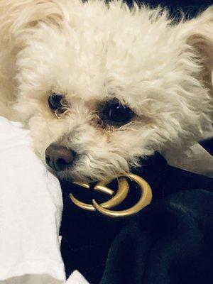 photo of Veronica V.