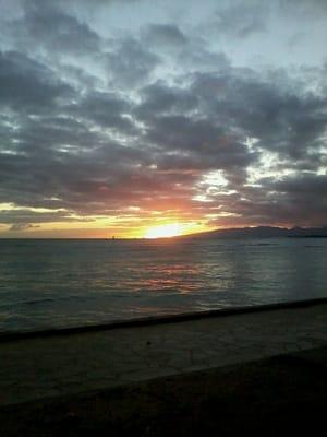 photo of Stephanie F.