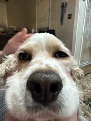 photo of Stephanie P.