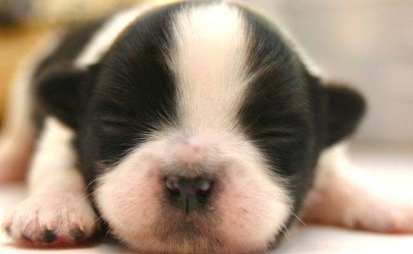 photo of Michelle T.