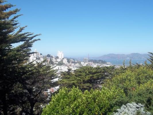 photo of Informed J.