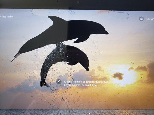 Photo of Michelle N.