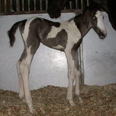 photo of Christina D.