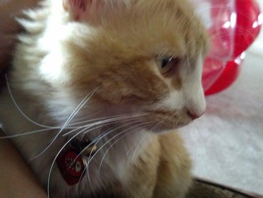 photo of Gabriela L.