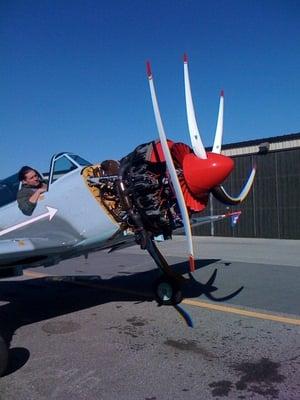 Photo of Harrier T.