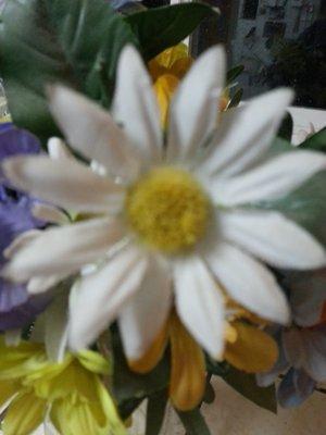 Photo of A H.