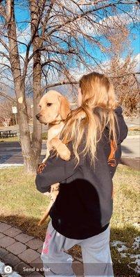 Photo of Melloyello C.