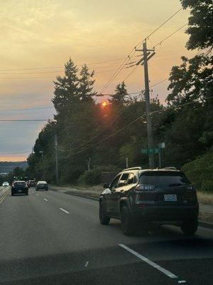 photo of Michelle M.