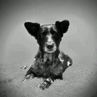 Photo of Kinny P.