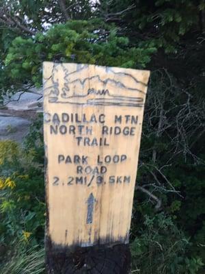 photo of Matt And Cathy G.