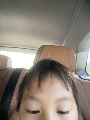 photo of Anh N.