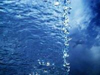 Photo of Samantha L.