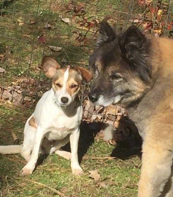 photo of TriangleCreations D.