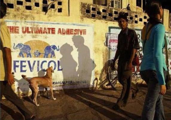 photo of Murtaza Hanan Q.