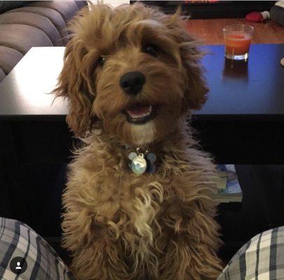 Photo of Elizabeth K.