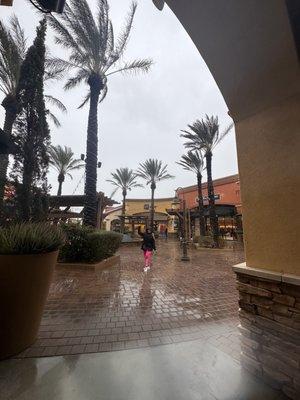 photo of Priscilla C.