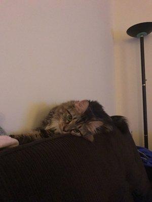 photo of Stefanie O.