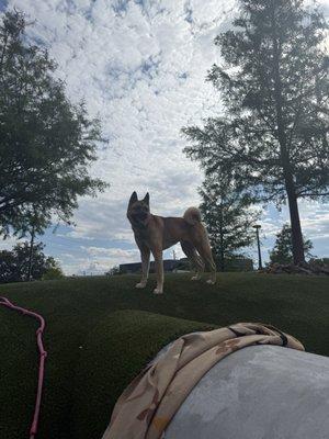 Photo of Pierrette B.