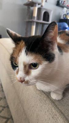 photo of Angelica B.