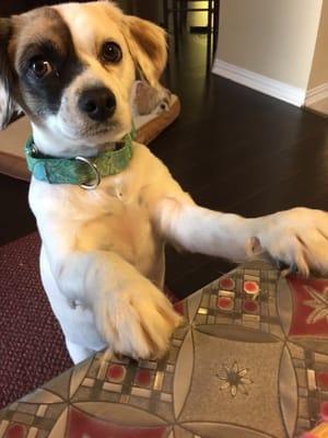 photo of Aditya Krishnan N.