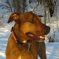 Photo of Malco M.