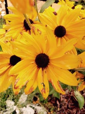 photo of Ferry. Beach K.