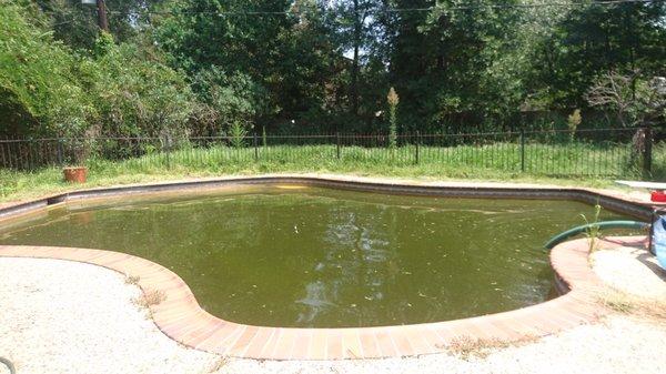 photo of Christine A.