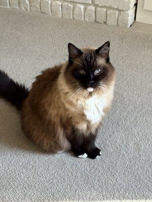 Photo of Suzy E.