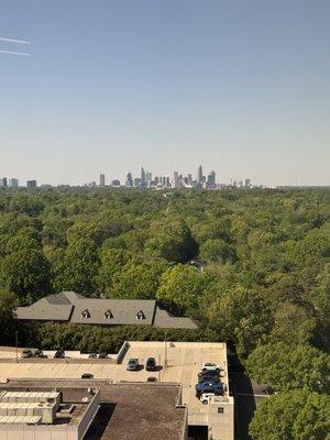 photo of Ashleigh C.