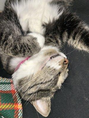 Photo of Bryleigh W.