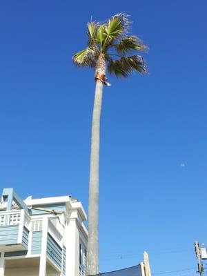 Photo of M F.