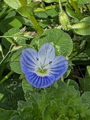 photo of Katpire343 H.