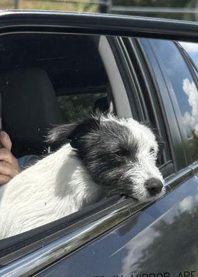 photo of Chrissie N.