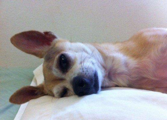 photo of Marcelino M.