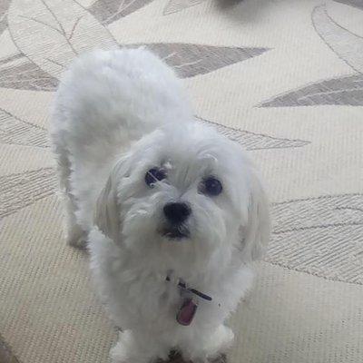 photo of DavidCindy G.