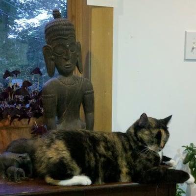 Photo of Liz H.