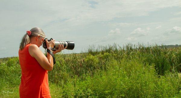 Photo of Donna D.